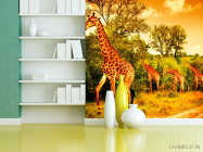 Фотошпалери Жирафи на пасовищі - 3