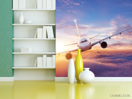 Фотошпалери літак і захід - 3