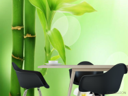 Фотошпалери бамбук в воді - 1