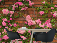 Фотошпалери чайна троянда на цегляній стіні - 1