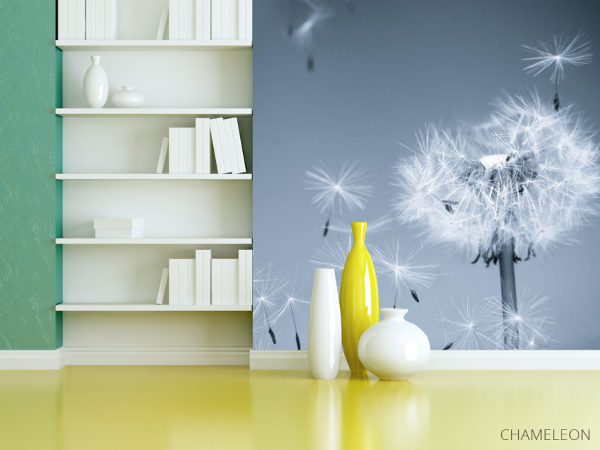 Фотошпалери Сірі кульбаби - 3