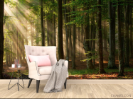 Фотообои Деревья - 4