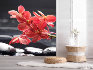 Фотошпалери Коралові квіти - 2
