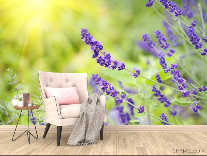 Фотообои синие полевые цветы - 4