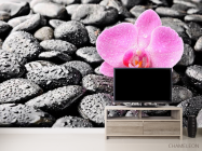 Фотообои Орхидея, роса, камни - 2