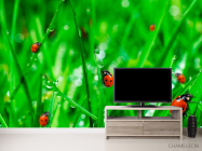 Фотообои Трава,божья коровка - 2