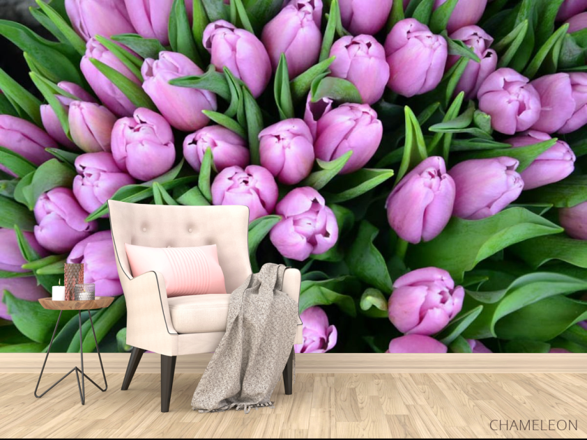 Фотообои Букет фиолетовых тюльпанов - 4