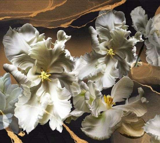 Фотошпалери махрові тюльпани Фотошпалери махрові тюльпани 33184