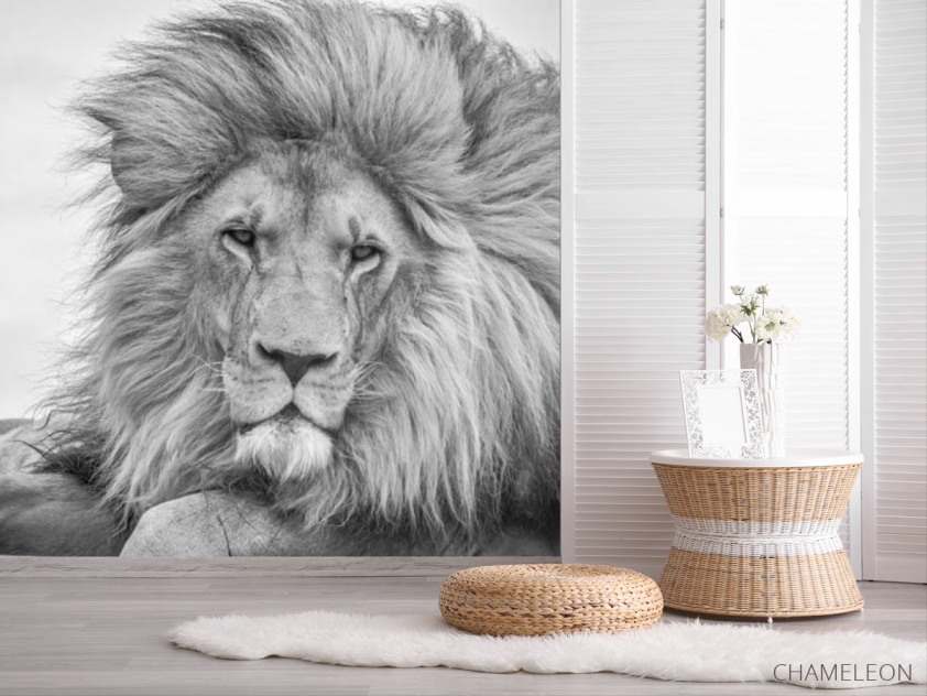 Фотошпалери лев - 2