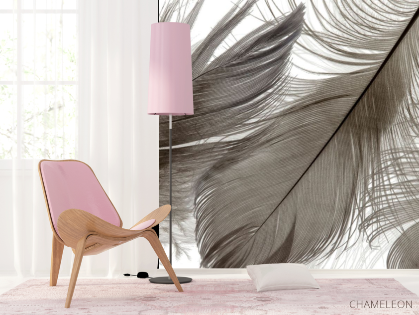 Фотошпалери Коричневі пір'я - 4