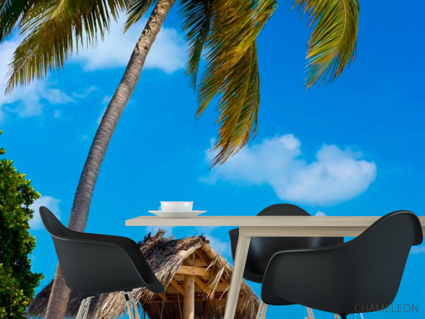 Фотошпалери Пальми і альтанка - 1