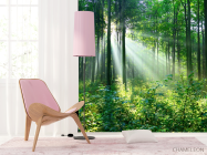 Фотошпалери зелені дерева в лісі - 4