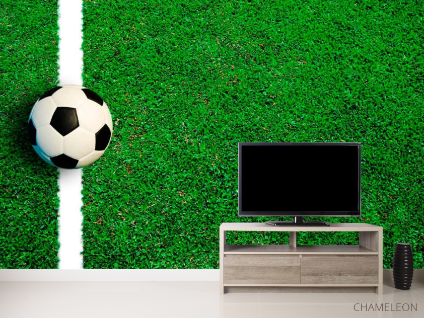 Фотообои Мяч на линии - 2