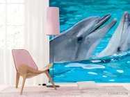 Фотошпалери Ніжність дельфінів - 4