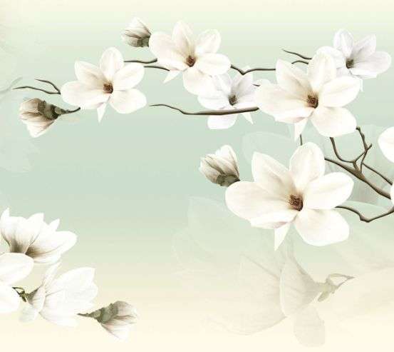 Фотообои Магнолии на зеленом фоне 24217