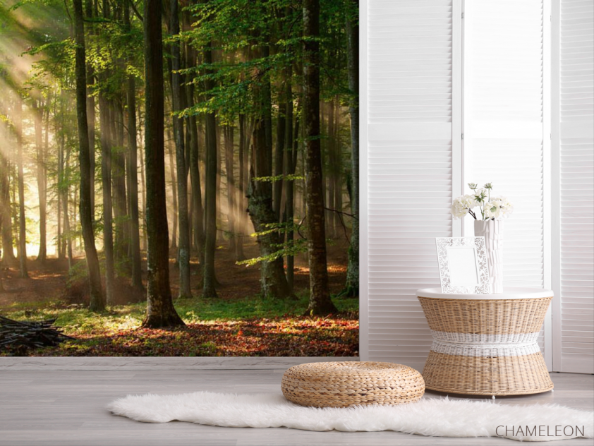 Фотошпалери Дерева - 2