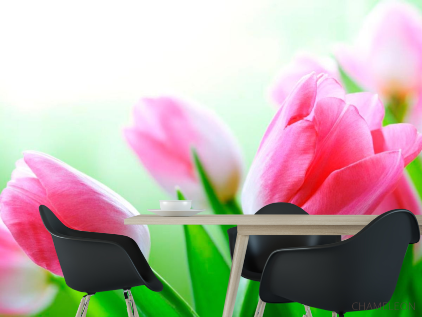 Фотошпалери Тюльпани в цвіту - 1