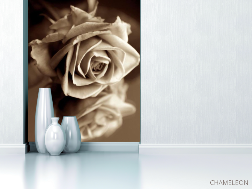 Фотообои Роза сепия - 1