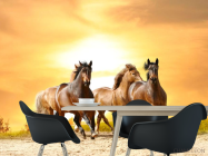 Фотошпалери Мустанги на прогулянці - 1