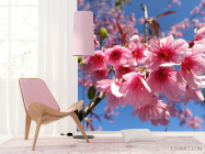 Фотошпалери сакура - 4