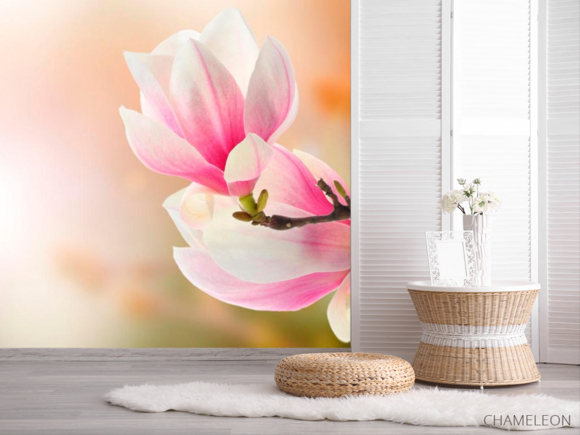 Фотошпалери На дереві розпустилися квіти - 2