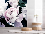 Фотошпалери півонії на темному - 2