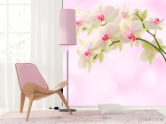 Фотошпалери Орхідеї точкові - 4