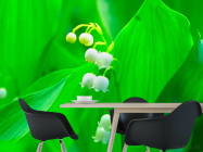 Фотошпалери Конвалія - 1