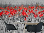 Фотошпалери Червоні маки на тлі чб - 1