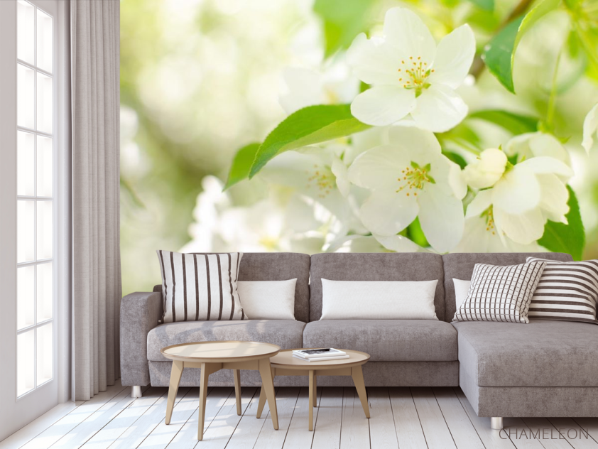 Фотообои белые цветочки на деревьях - 3