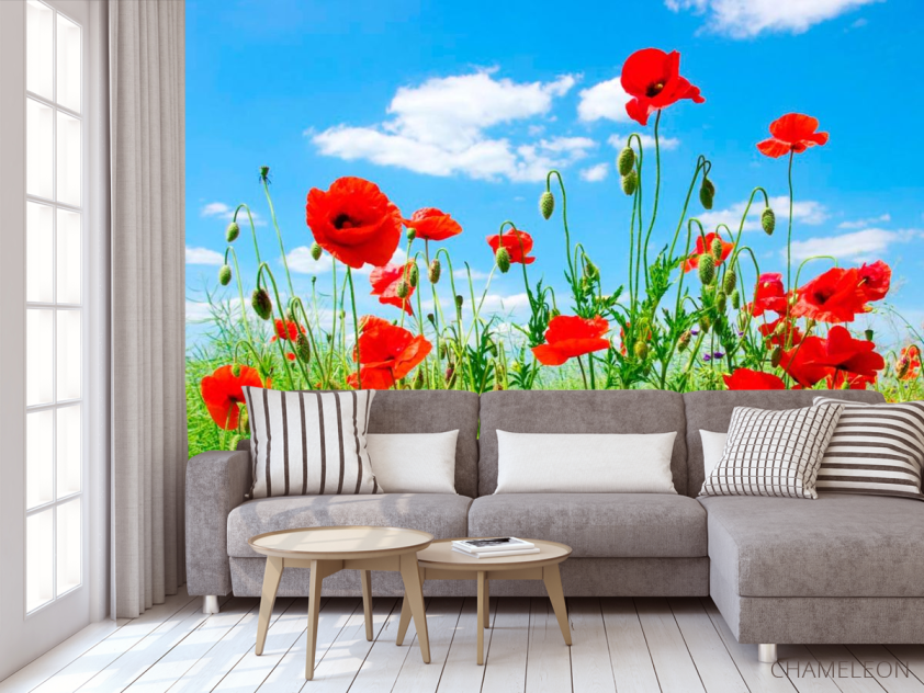 Фотообои Маки в степи - 3