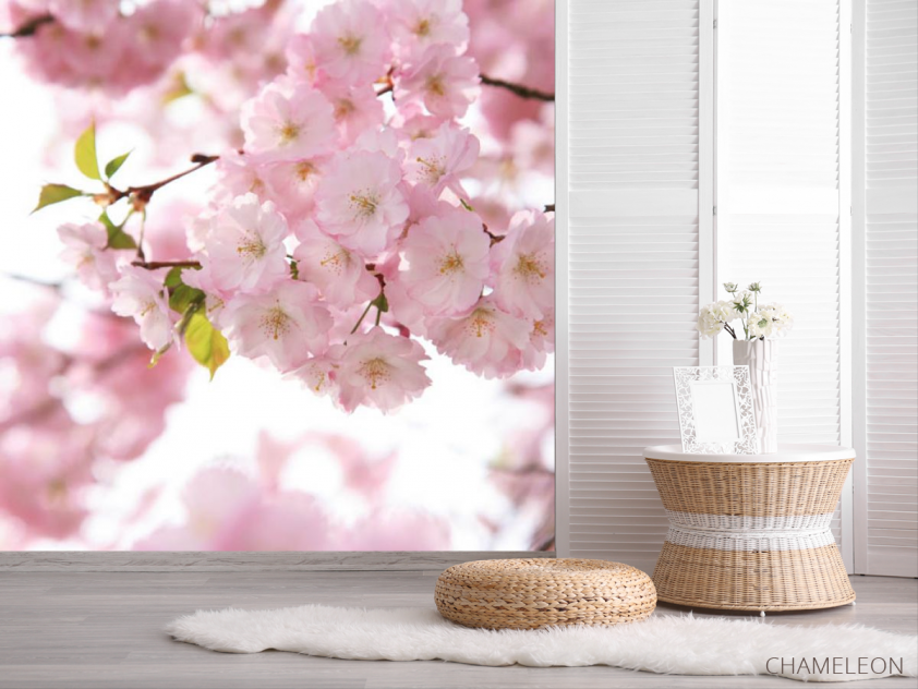 Фотошпалери квіти рожевої сакури - 2