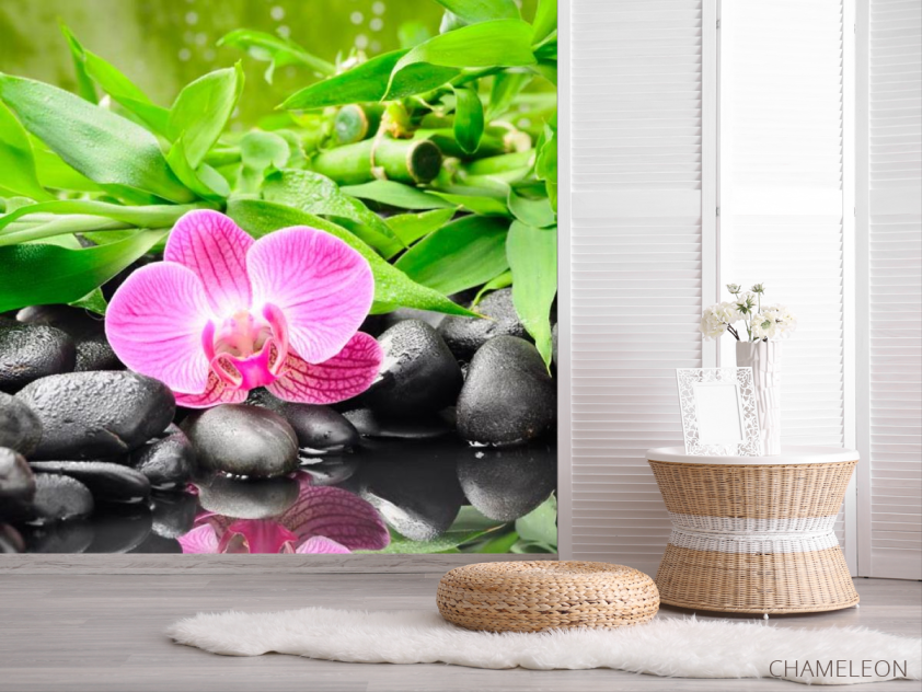 Фотошпалери Орхідея на каменях - 2