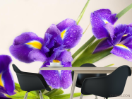 Фотошпалери синій квітка - 1