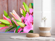 Фотошпалери рожеві лілії - 2