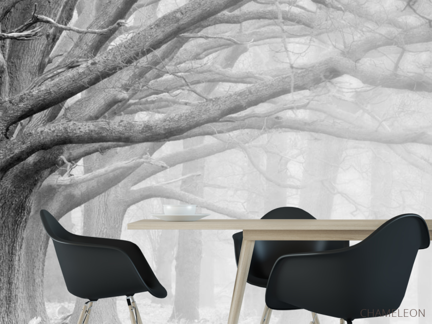 Фотошпалери великі сірі дерева - 1