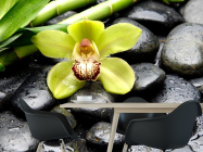 Фотошпалери Зелена орхідея, камені - 1