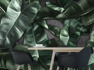 Фотошпалери зелене листя - 1