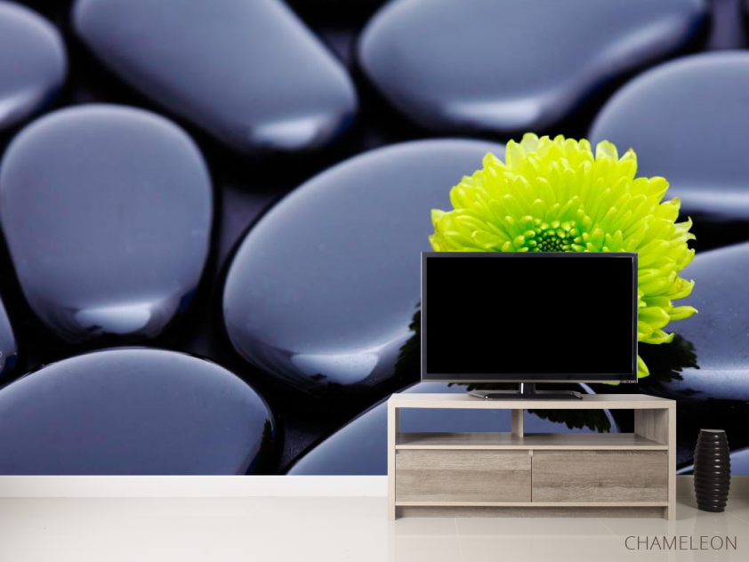 Фотообои Цветок и камни - 2