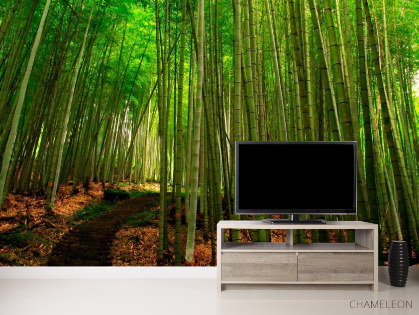 Фотообои Бамбук, тропинка - 2