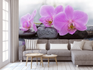 Фотообои камни и орхидеи - 3