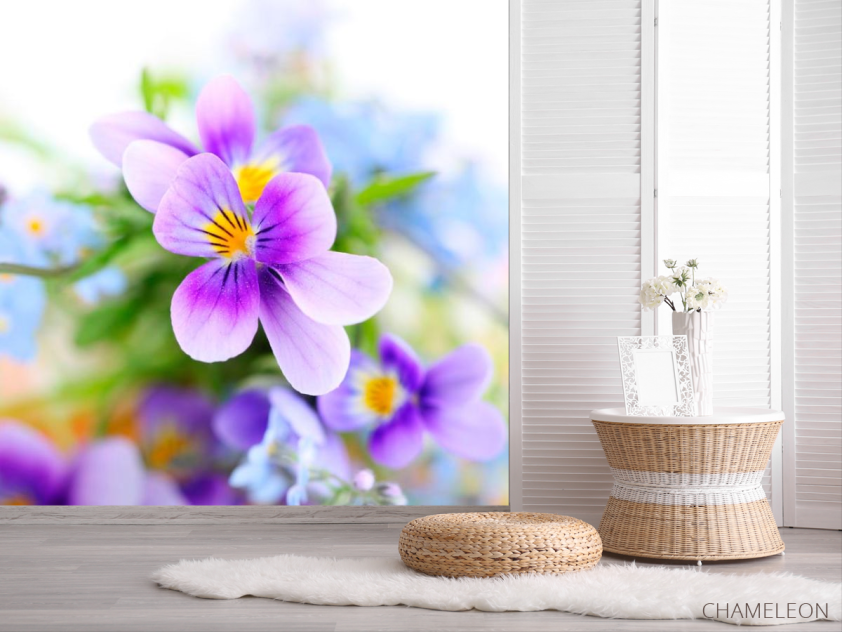 Фотошпалери Бузкові братки - 2