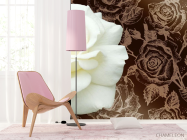 Фотошпалери Величезна біла троянда і патерн - 4