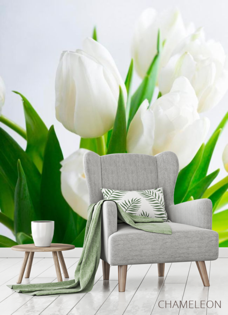 Фотообои Тюльпаны - 3