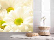 Фотошпалери Великі Ромашки - 2