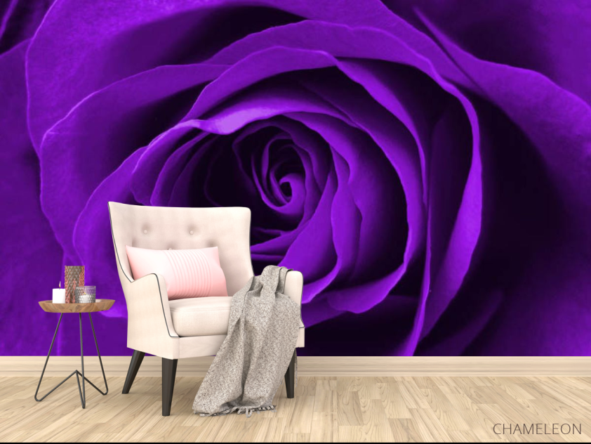 Фотообои фиолетовая роза - 4