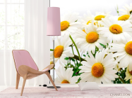 Фотошпалери Букет польових ромашок - 4
