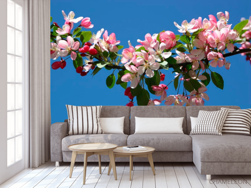 Фотообои Черешня цветущая - 3