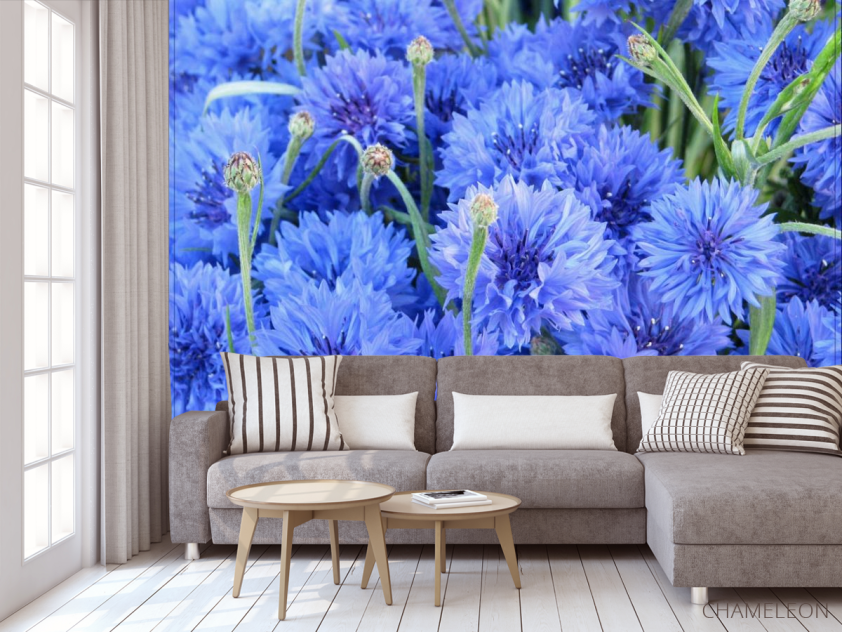 Фотообои Голубые васильки - 3