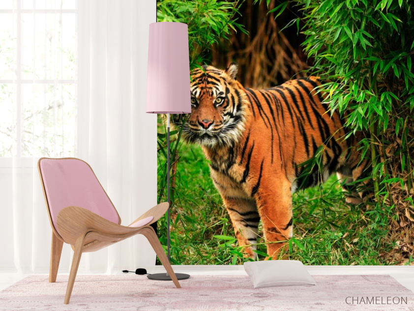 Фотошпалери Тигр в заростях - 4